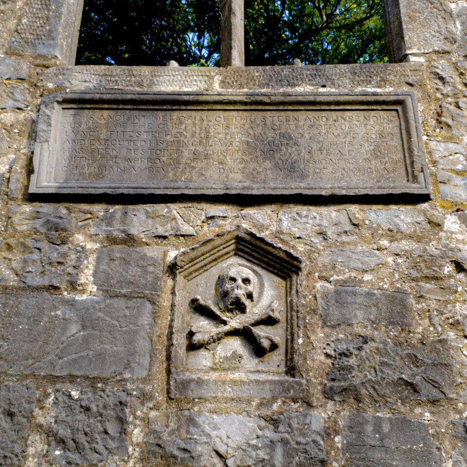 The Lynch Window